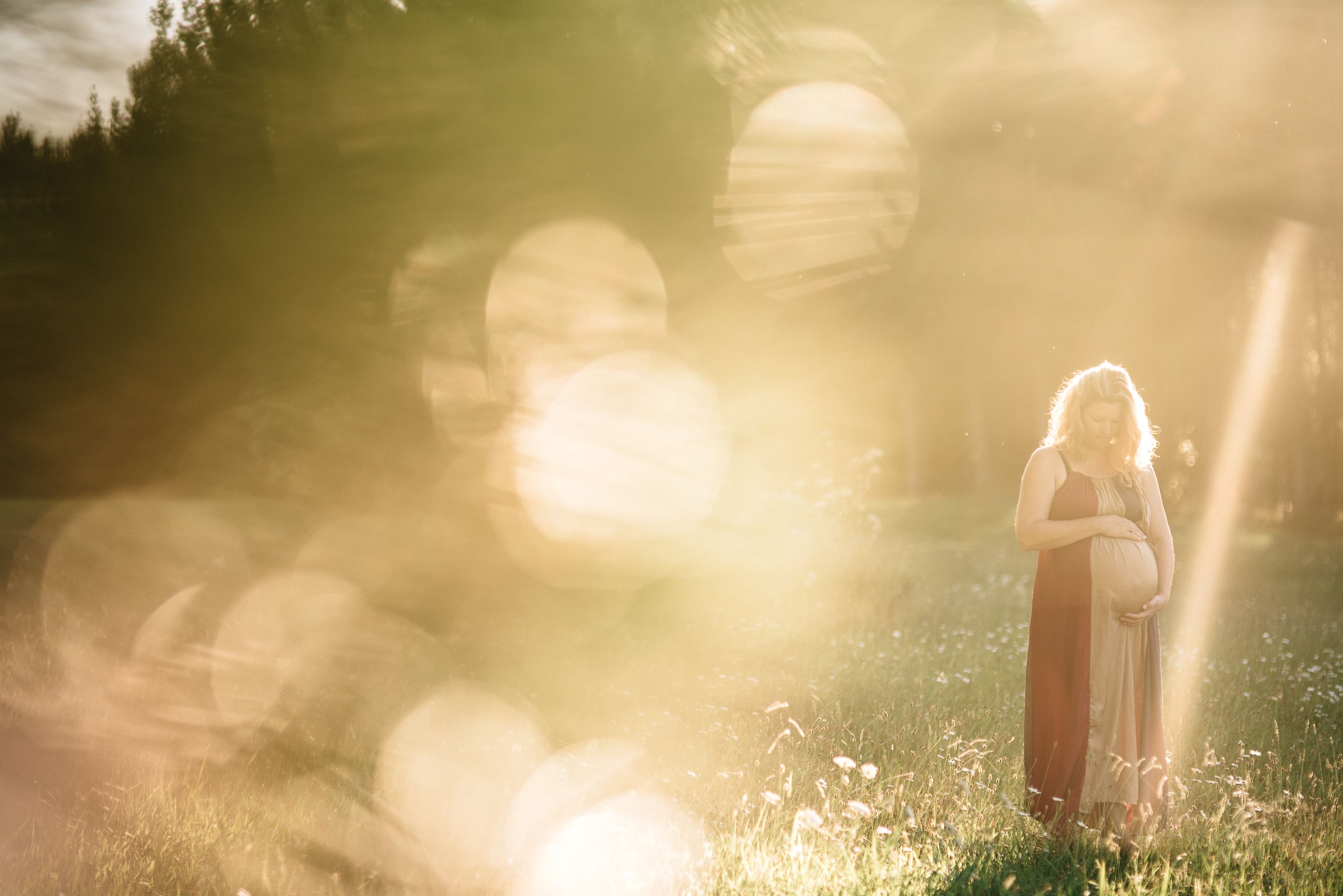 Outdoor maternity session, kerikeri, photographer Jess Burges