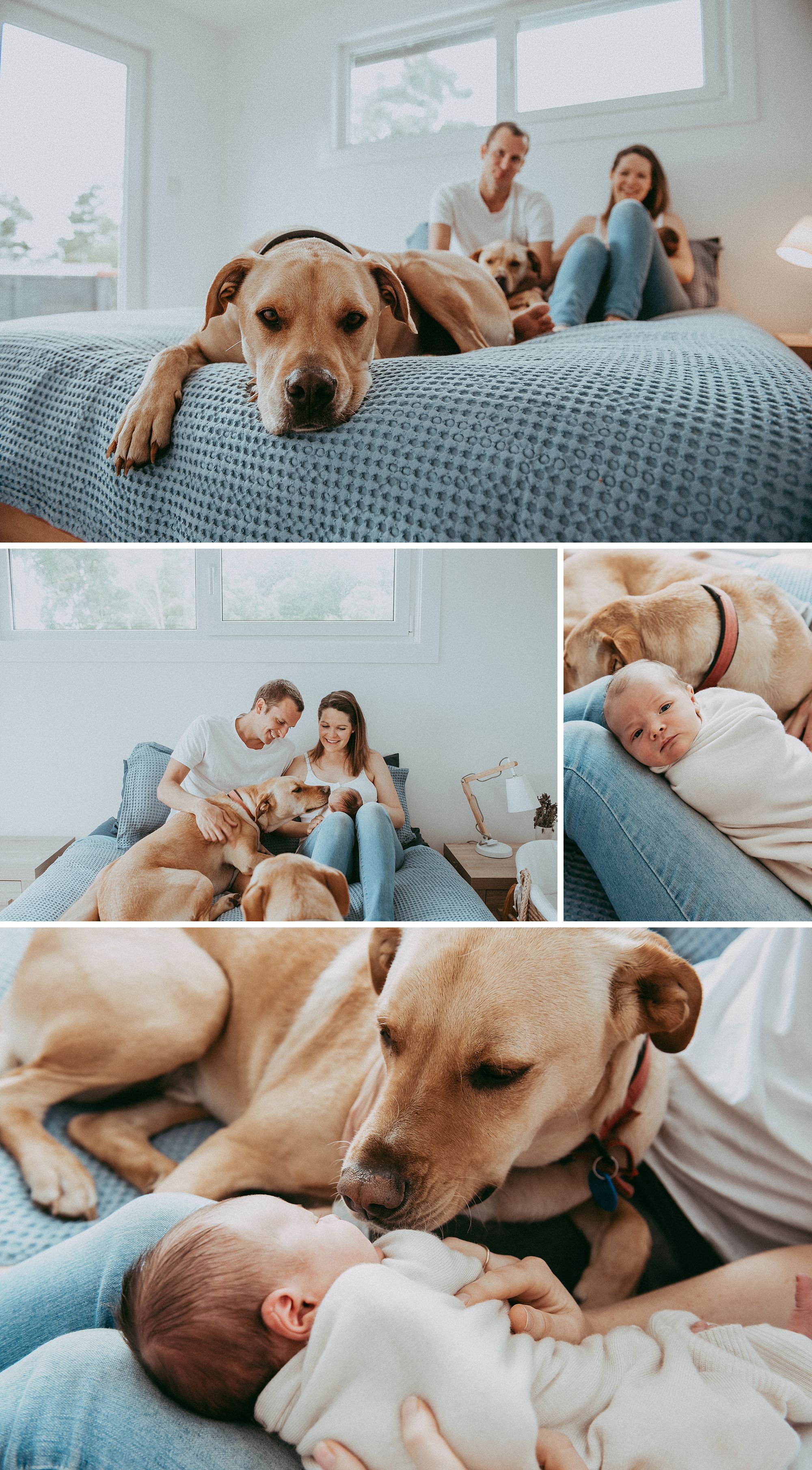 newborn home session_0000.jpg