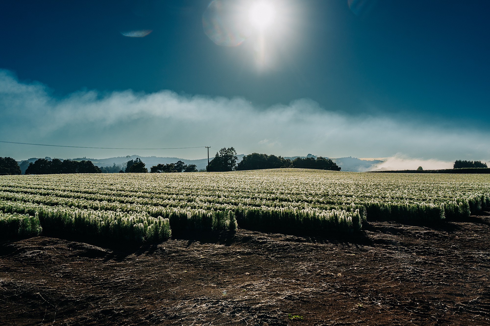 Commercial editorial Photography, Northland