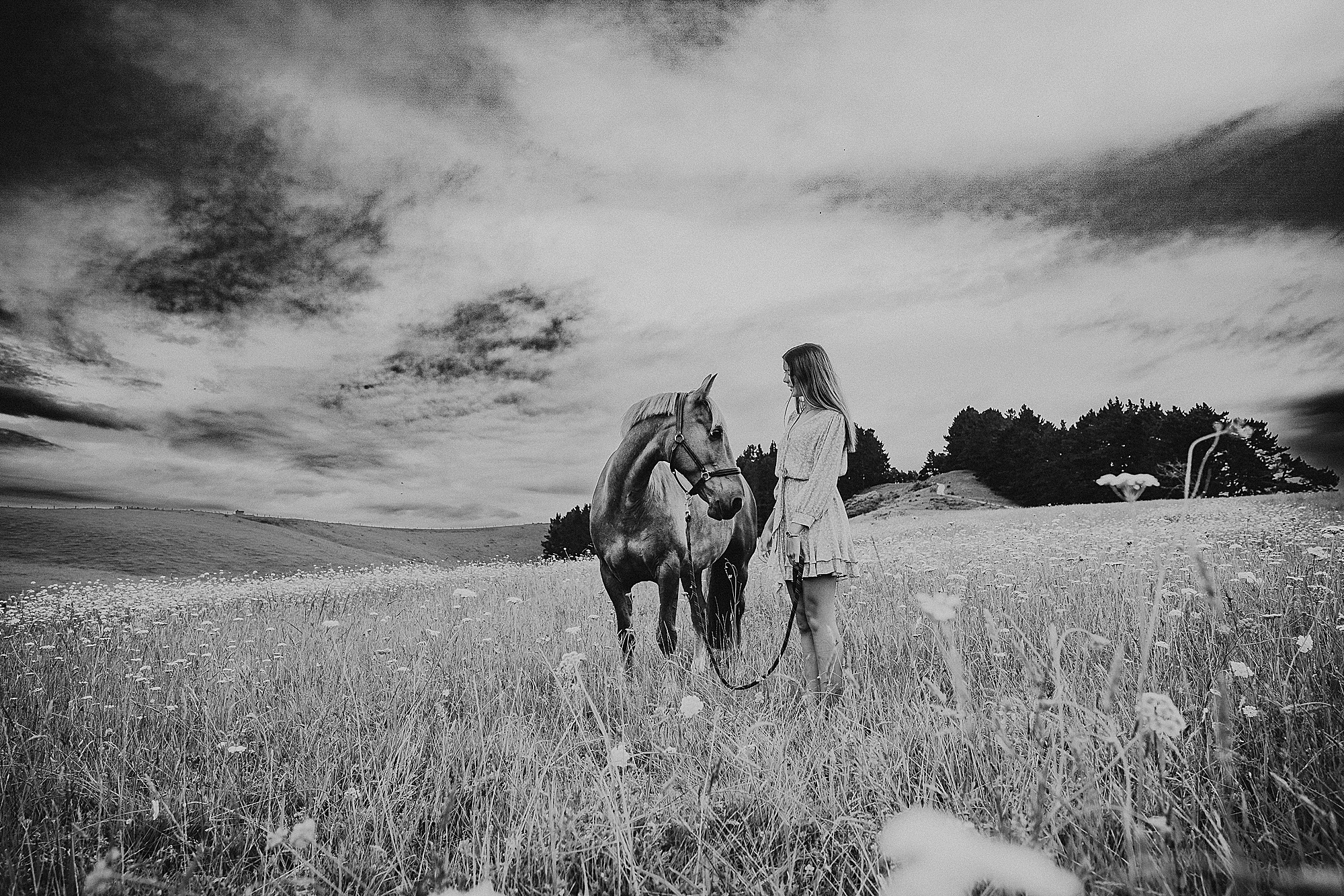 Jess Burges Northland photographer - equestrian portrait