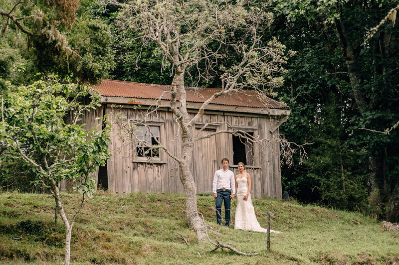 Farm wedding in Northland New Zealand