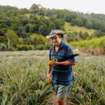 NZ Life Magazine Editorial | Geneva Pineapple Estate