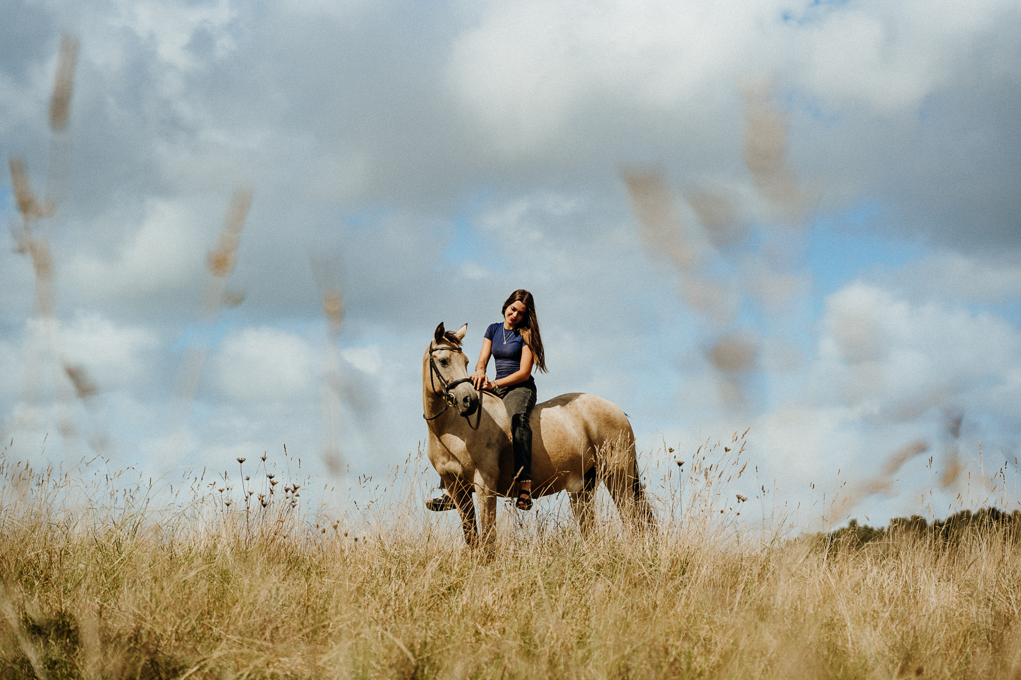 Equestrian Photoshoot Kerikeri