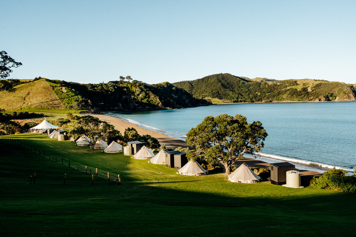 Event Photographer Kerikeri