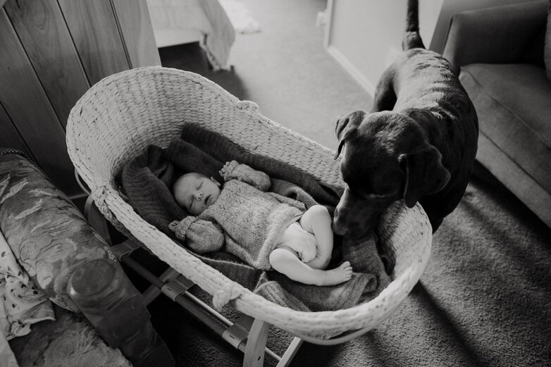 R & C Newborn Session